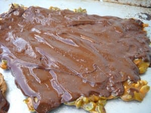 Spiced Pumpkin Seed Brittle with Chocolate and Sea Salt from My Kitchen Wand