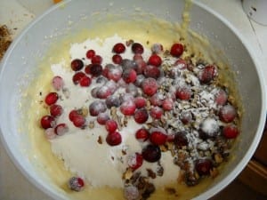 Walnut Cranberry Muffins from My Kitchen Wand