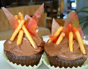 Bonfire Cakes from My Kitchen Wand