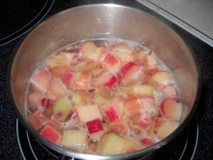 Rhubard Strawberry Fool with optional white chocolate from My Kitchen Wand