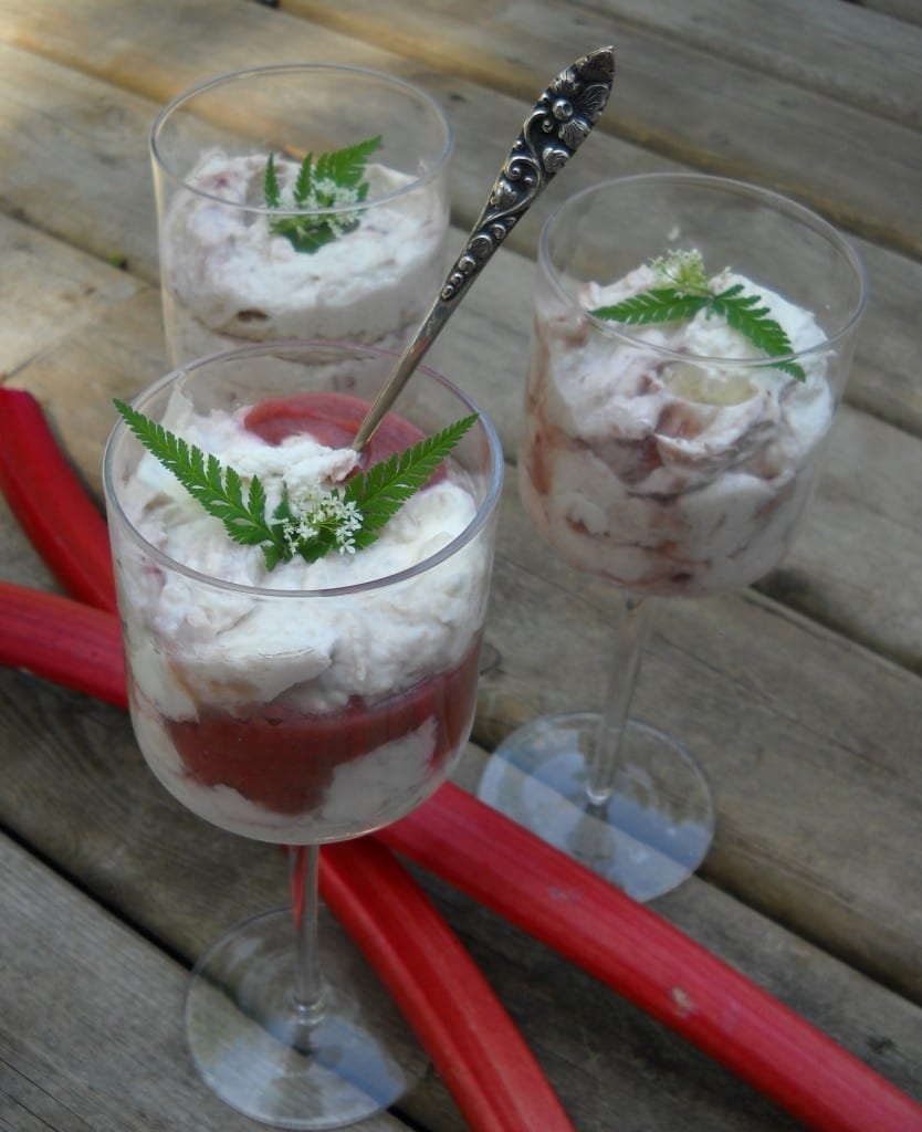 Rhubard Strawberry Fool with optional white chocolate from My Kitchen Wand