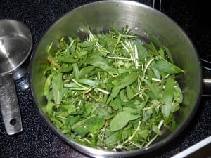 Refreshing Herbs & Bubbly from My Kitchen Wand