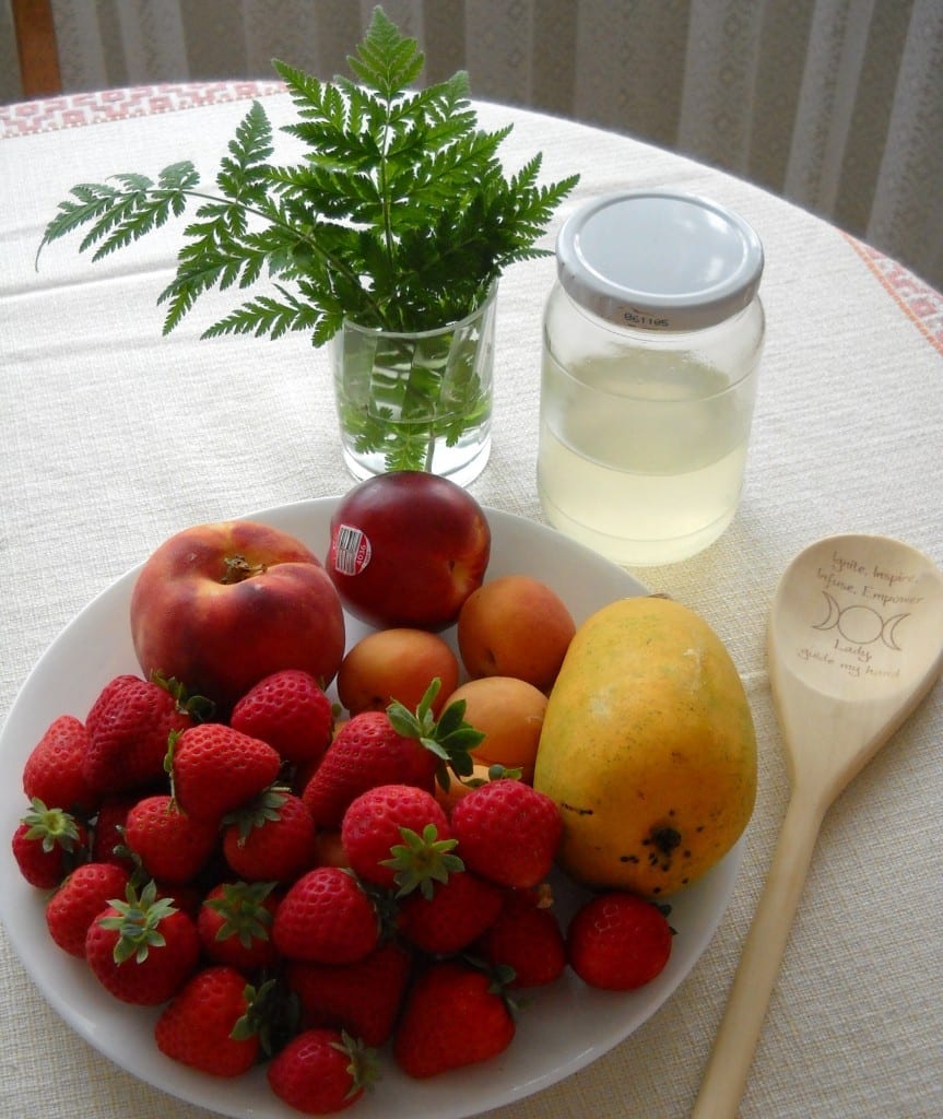 Fresh Fruit Salad Shooters from My Kitchen Wand