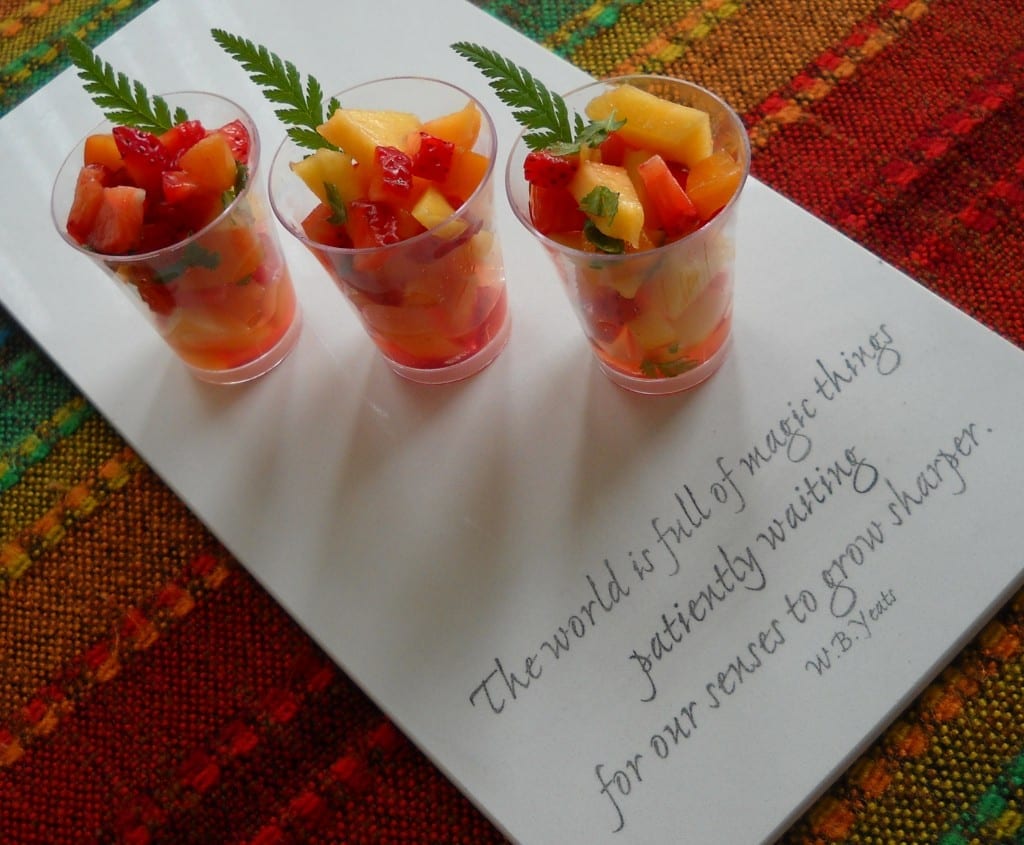 Fresh Fruit Salad Shooters from My Kitchen Wand