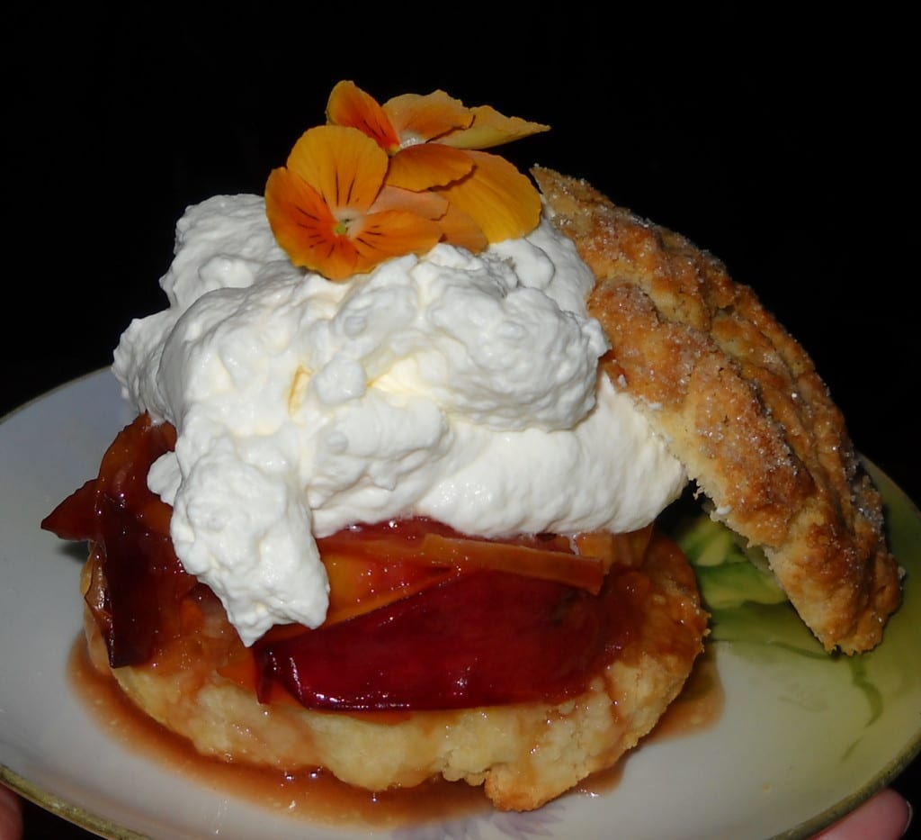 Roasted Nectarine Almond Shortcake from My Kitchen Wand