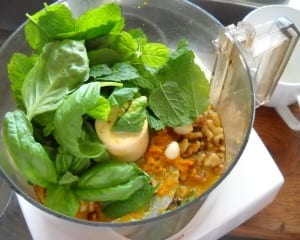 Pesto, Pistou and pestle with a Citrus-Mint Pesto recipe from My Kitchen Wand