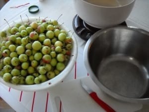 Home Made Pectin from My Kitchen Wand