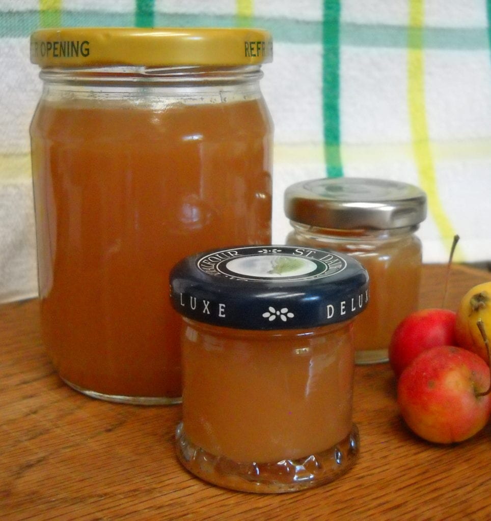 Home Made Pectin from My Kitchen Wand