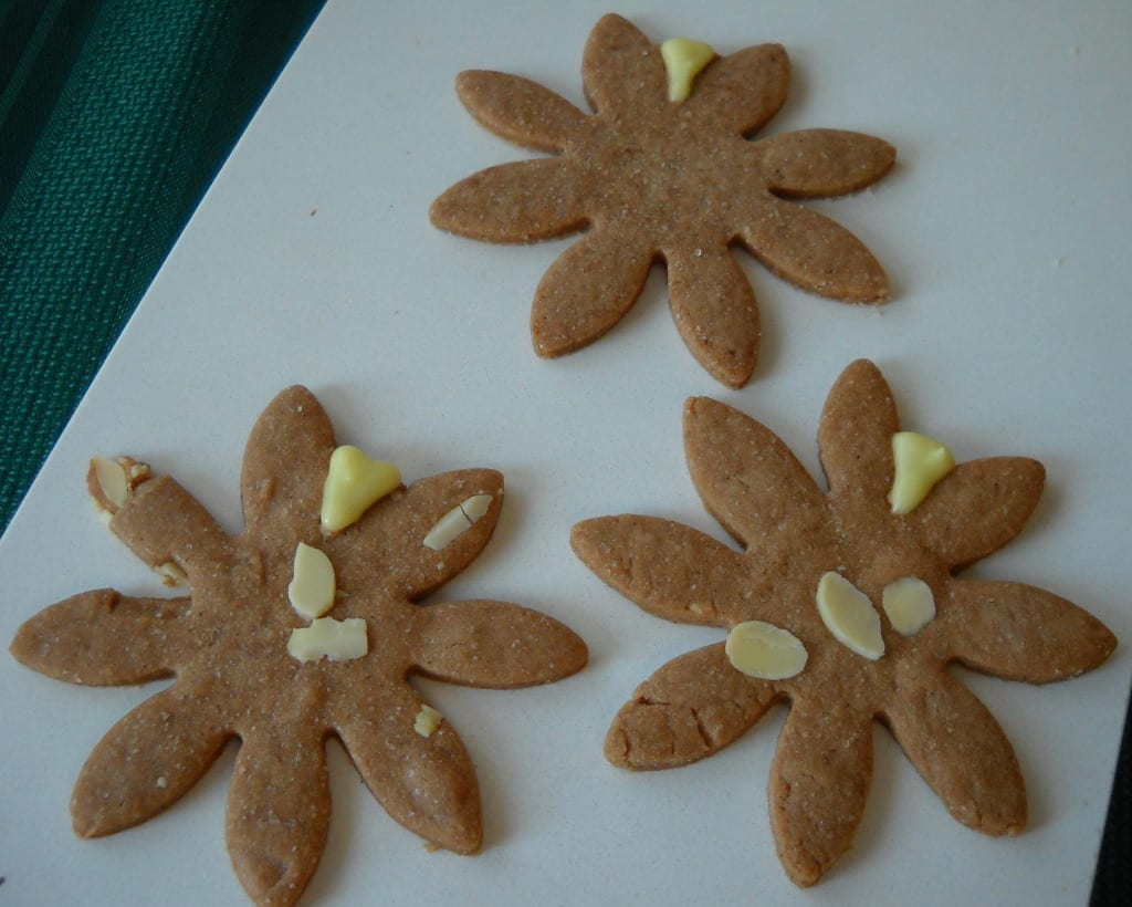 Sunrise on Winter Solstice Morning Cookies from My Kitchen Wand