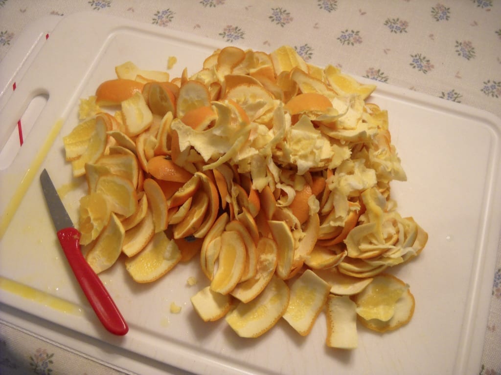 Play time with Candied Orange Peel from My Kitchen Wand