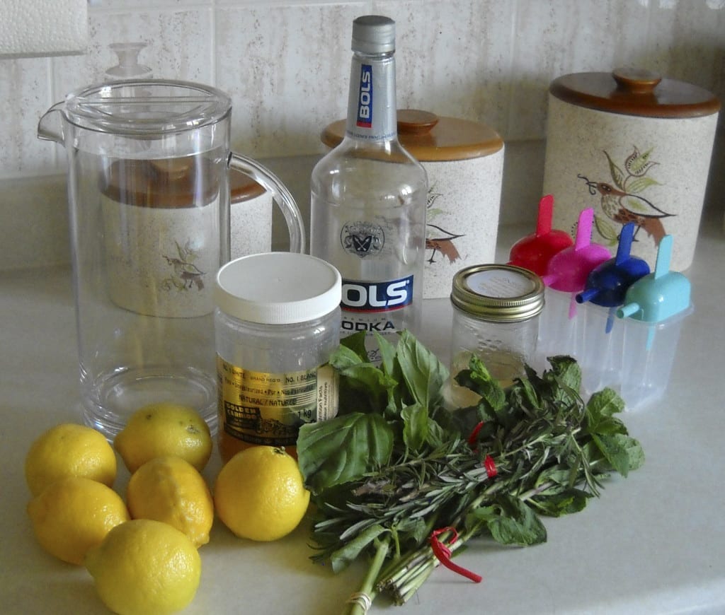 Muddled Lemonade Popsicles from My Kitchen Wand