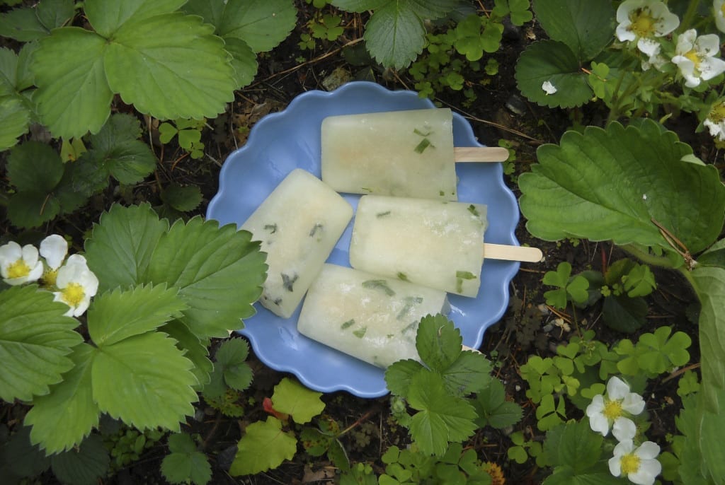 Muddled Lemonade Popsicles from My Kitchen Wand