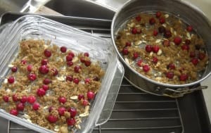 Orange, Cranberry, Almond Sweet Breads from My Kitchen Wand