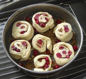 Orange, Cranberry, Almond Sweet Breads from My Kitchen Wand