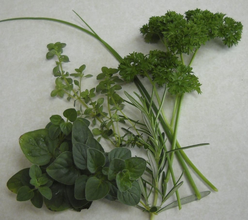 What do I do with my herbs? Baking Powder Biscuits from My Kitchen Wand