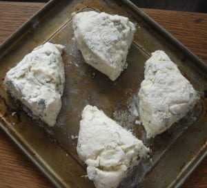 What do I do with my herbs? Baking Powder Biscuits from My Kitchen Wand