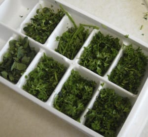 What do I do with my herbs? Freezing from My Kitchen Wand