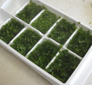 What do I do with my herbs? Freezing from My Kitchen Wand
