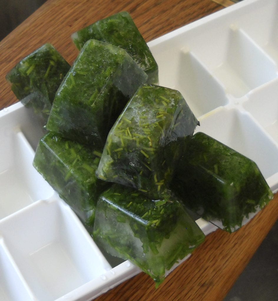 Herb Ice Cubes from My Kitchen Wand