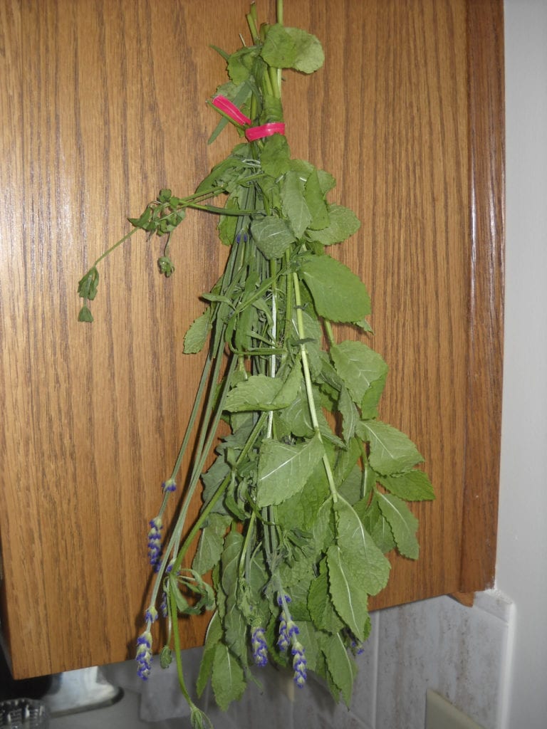 What do I do with my herbs? Drying from My Kitchen Wand
