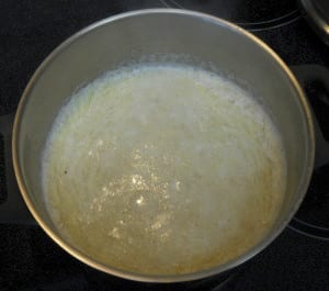 Cream of Wheat Pudding with fresh fruit from My Kitchen Wand