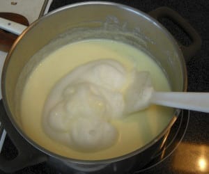 Cream of Wheat Pudding with fresh fruit from My Kitchen Wand