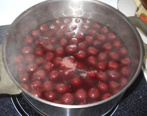 Cold Cherry Soup with  "dumplings" from My Kitchen Wand