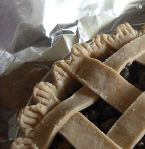 Care and storage of blueberries (& pie) from My Kitchen Wand