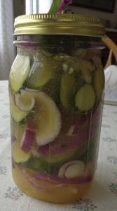 Quick & Easy Summer Pickles from My Kitchen Wand