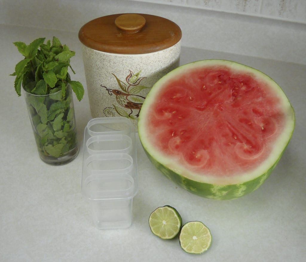 Minty Fresh Watermelon Popsicles from My Kitchen Wand