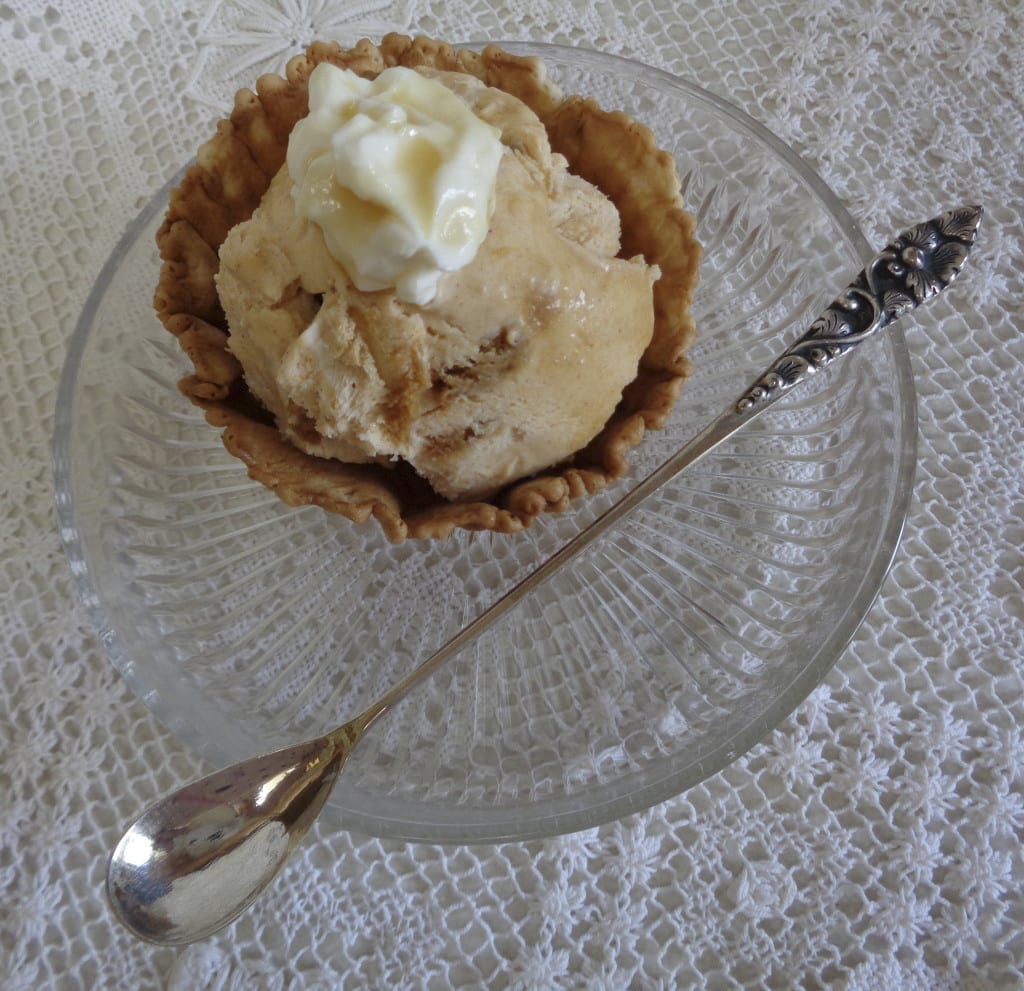 Ginger Snap Pumpkin Pie Ice Cream from My Kitchen Wand