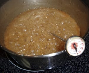 Spiced Apple Cider Vinegar Caramel Apples from My Kitchen Wand