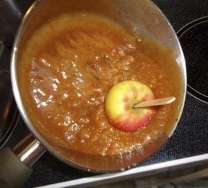 Spiced Apple Cider Vinegar Caramel Apples from My Kitchen Wand