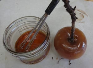 Spiced Apple Cider Vinegar Caramel Apples from My Kitchen Wand