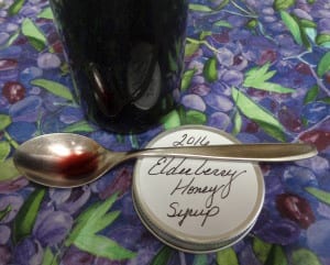 Elderberries - Syrup & Sauce from My Kitchen Wand