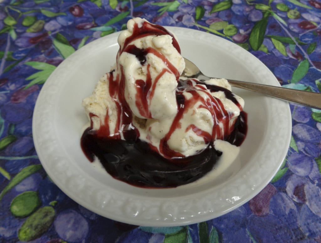 Elderberries - Syrup & Sauce from My Kitchen Wand