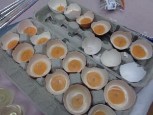 Egg Shell Candles from My Kitchen Wand