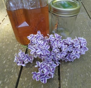 Lilac Honey at Beltane from My Kitchen Wand