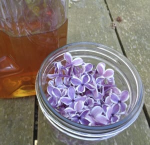 Lilac Honey at Beltane from My Kitchen Wand