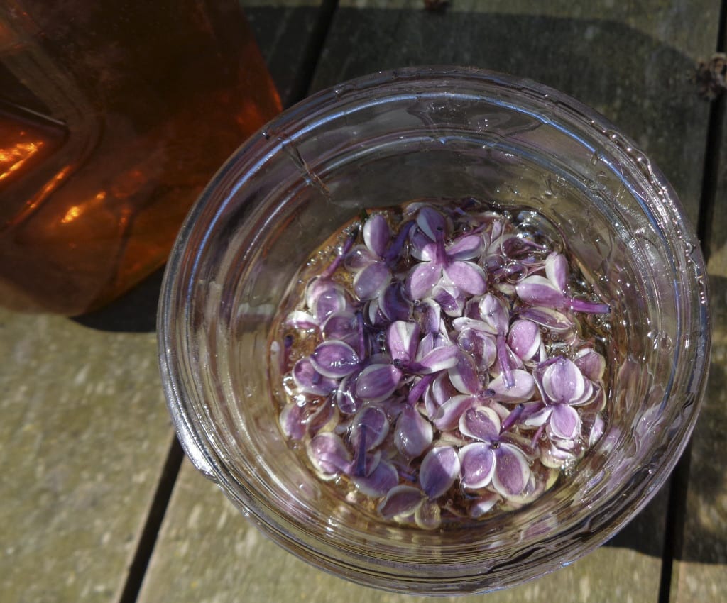 Lilac HOney from My Kitchen Wand