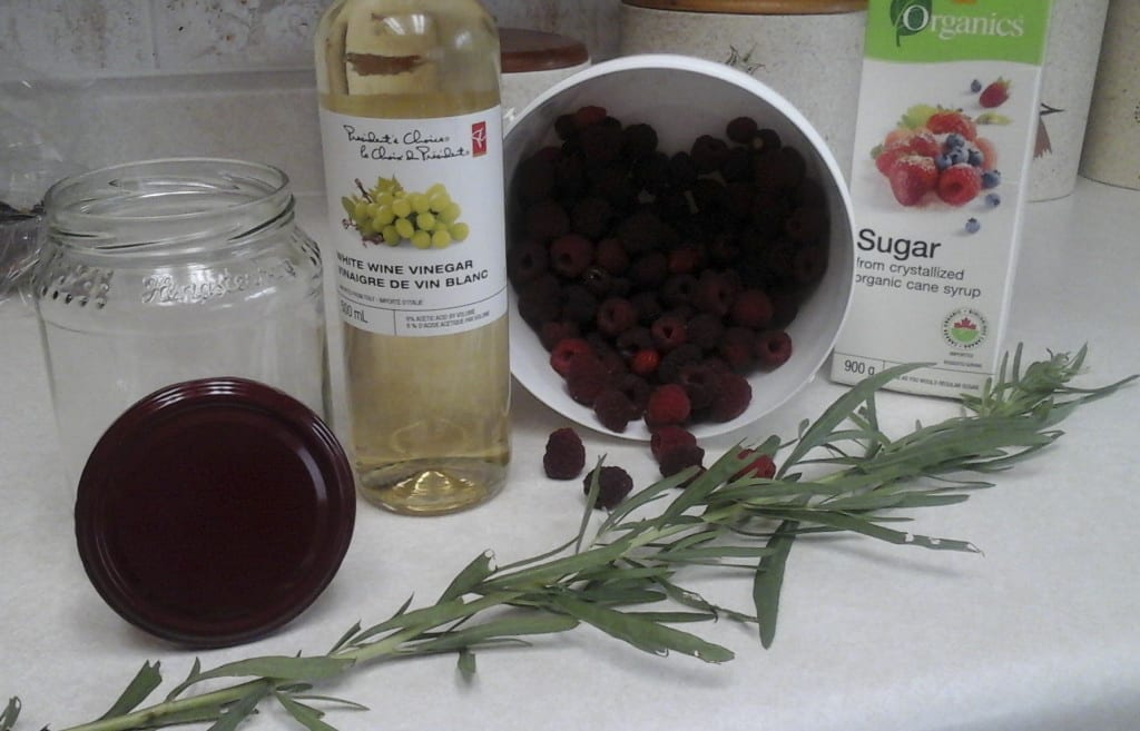 Raspberry Tarragon Shrub from My Kitchen Wand