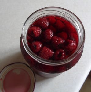 Raspberry Tarragon Shrub from My Kitchen Wand