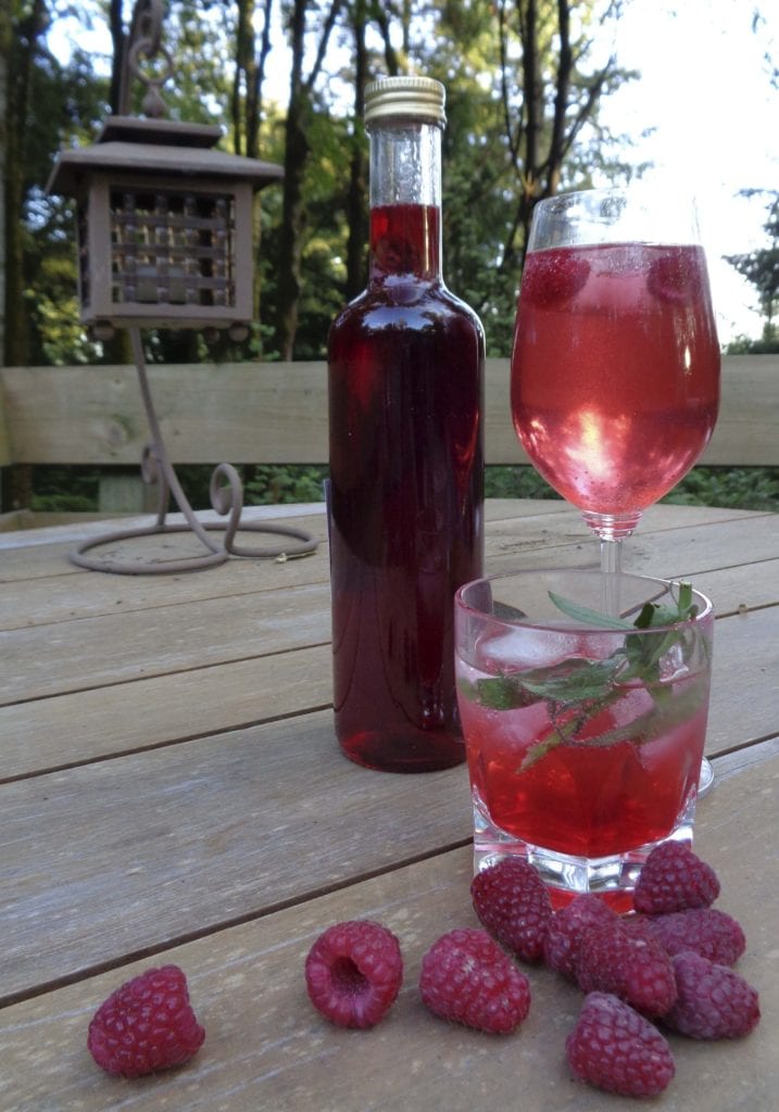 Raspberry Tarragon Shrub from My Kitchen Wand