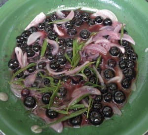 Raspberry Shrub Chicken with Blueberries and Tarragon from My Kitchen Wand