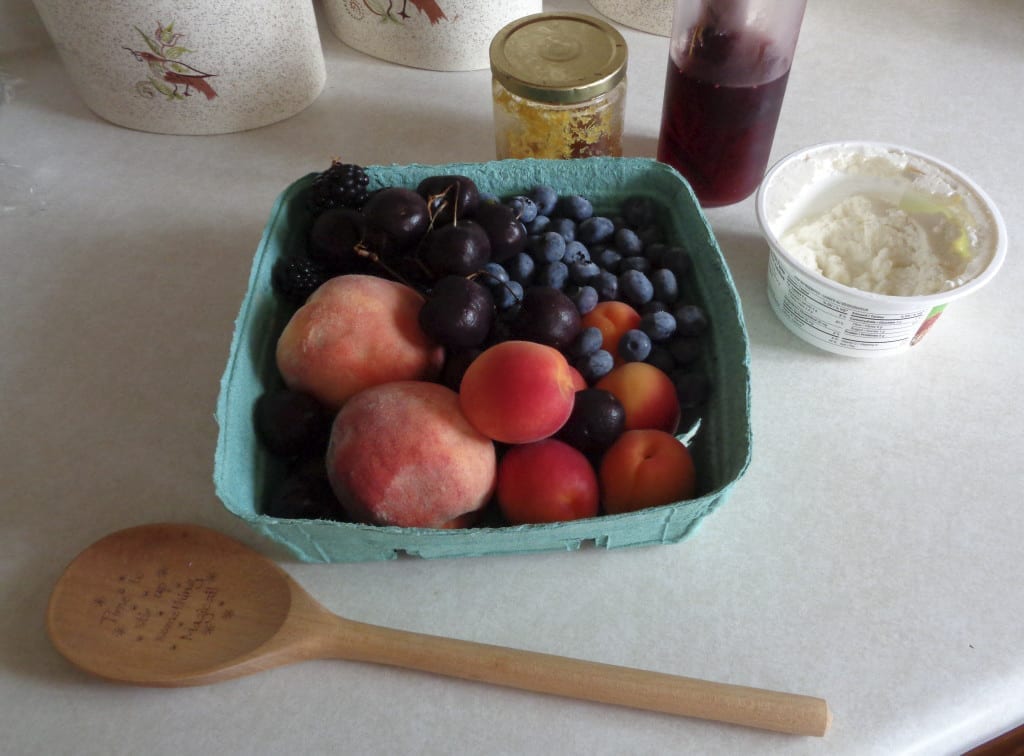 First Fruits Salad with Lemon Ricotta Dip from My Kitchen Wand