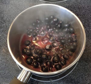 Ricotta in Filo with Blueberry Sauce from My Kitchen Wand