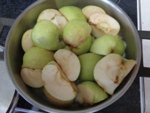 Smooth Applesauce - the easy way from My Kitchen Wand