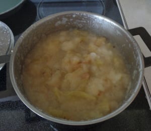 Smooth Applesauce - the easy way from My Kitchen Wand