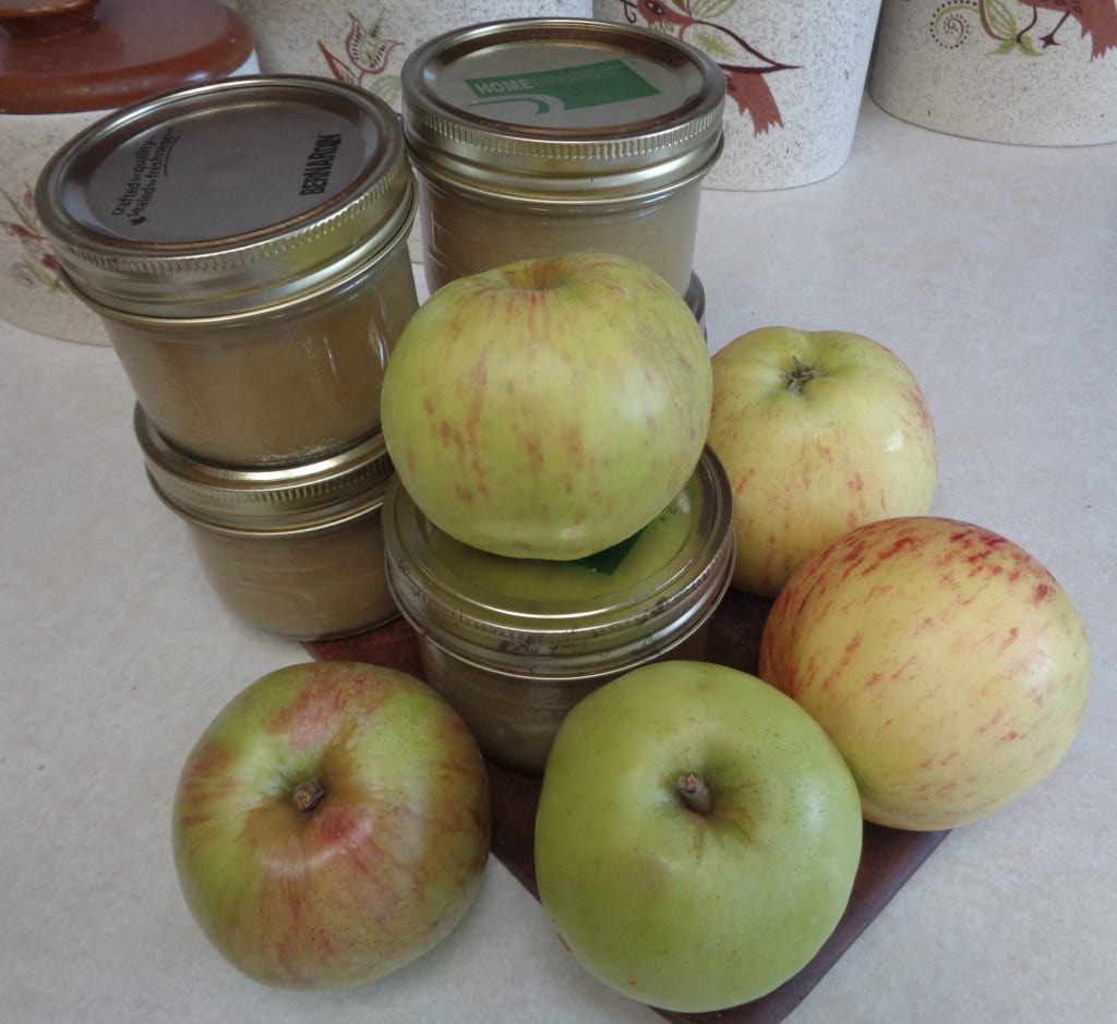 Smooth Applesauce - the easy way from My Kitchen Wand