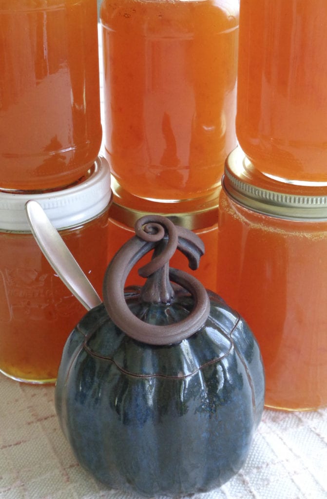 Apricot Jam from My Kitchen Wand